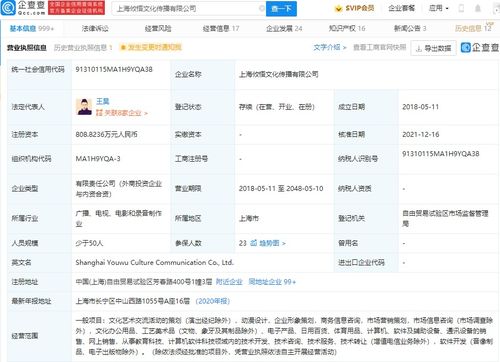 商務(wù)信息咨詢的價(jià)值與應(yīng)用
